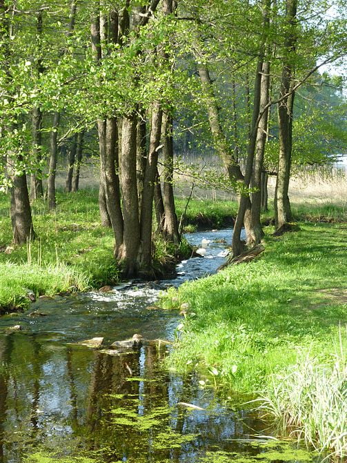 alhagenutlopp