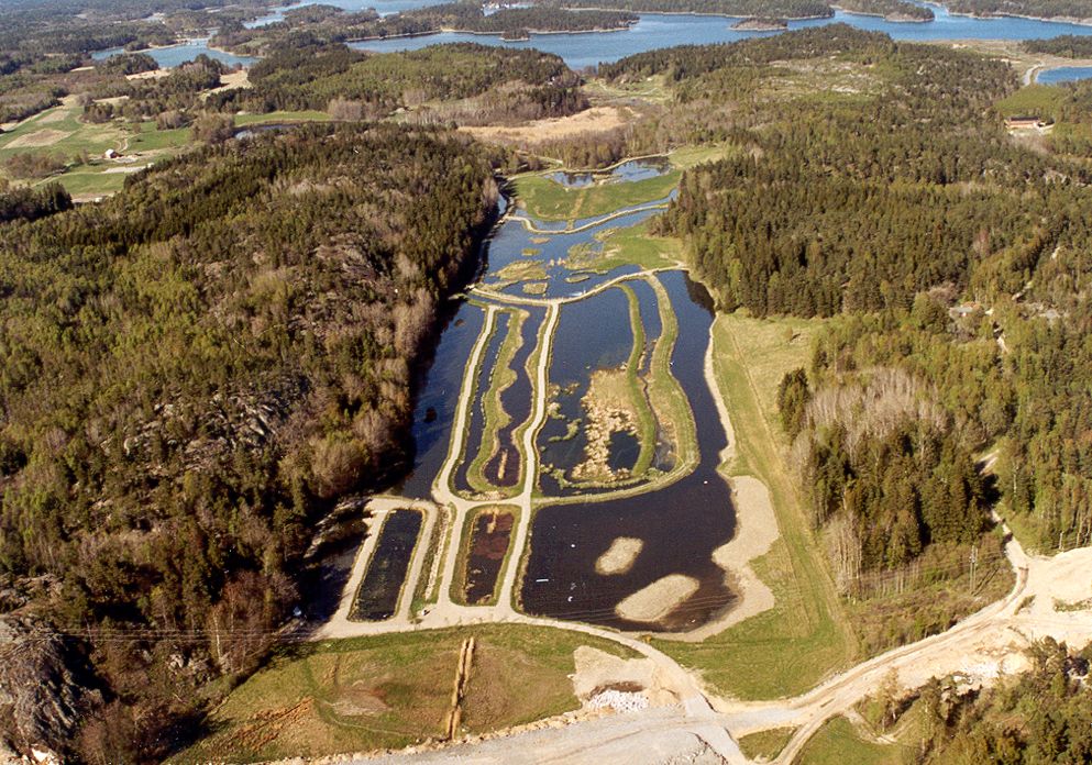 Inbjudan våtmarksvandring Alhagen 7 september!