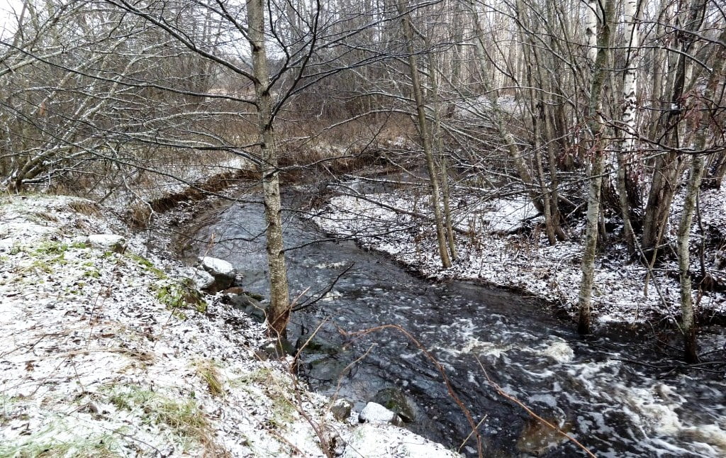 Anläggning av gäddvåtmark vid Järvstabäcken pågår